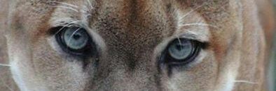 krlitros68's profile banner image