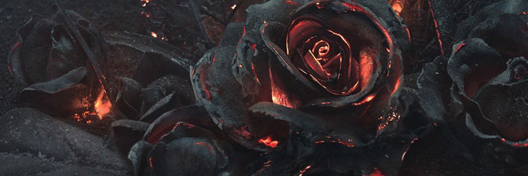 asapsinzu's profile banner image