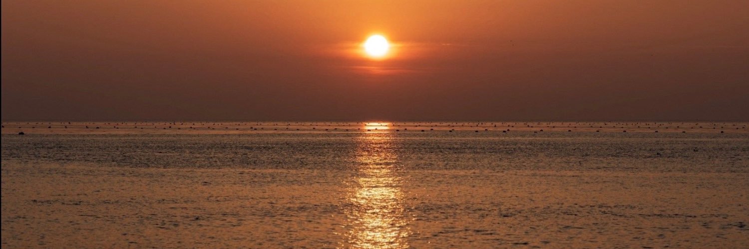 anthea_lobb's profile banner image