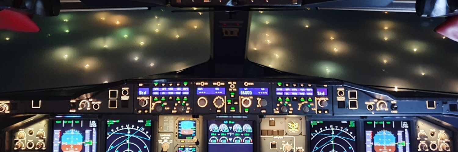 Southern Cross banner