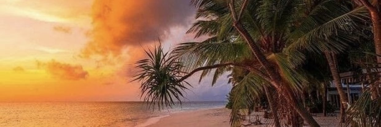 BennettPrince's profile banner image