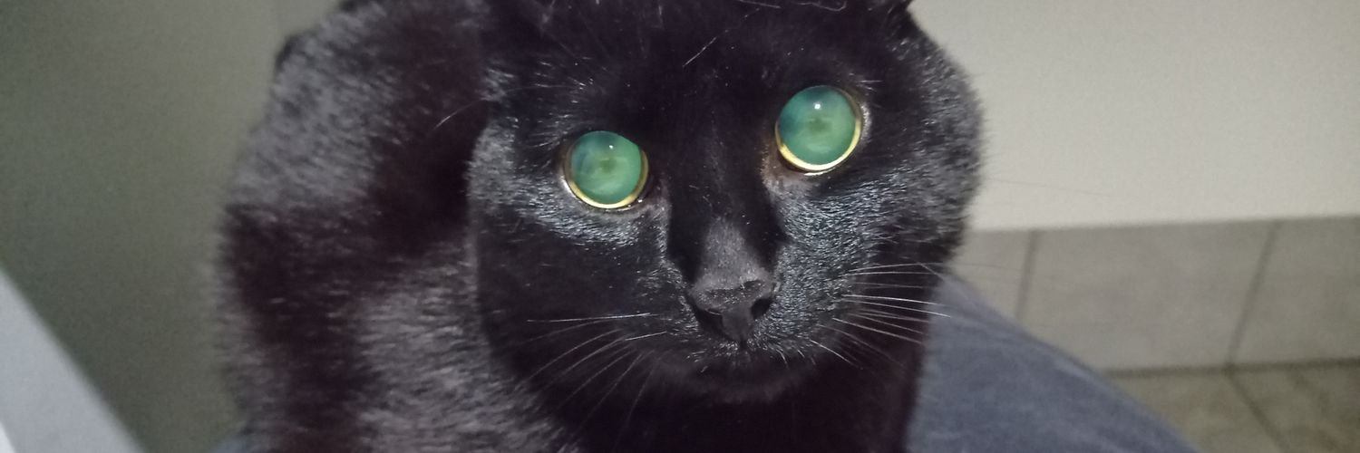 warriorladie's profile banner image