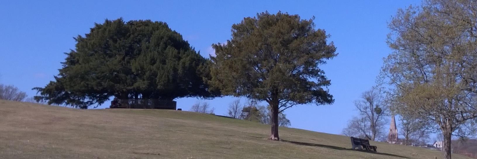 Stacey Gulliver banner