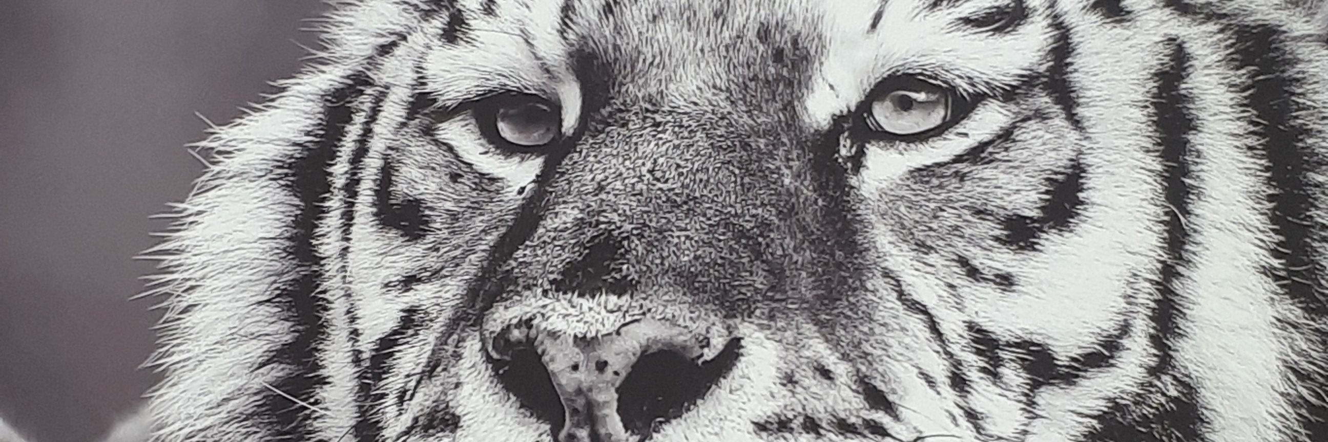 AndreaSmith74's profile banner image