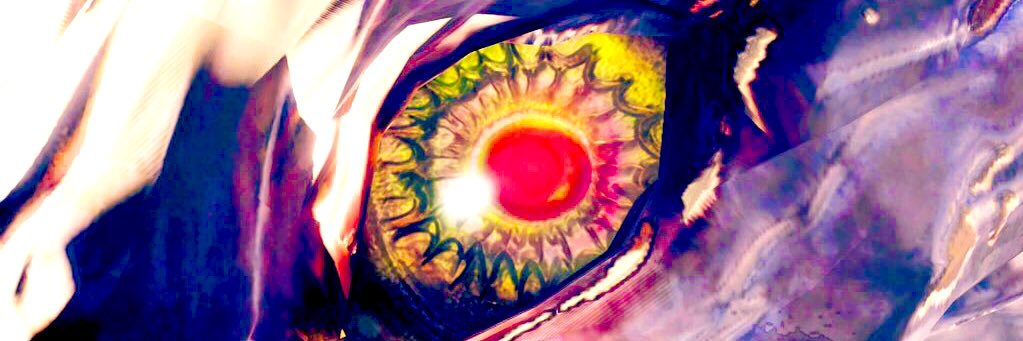 moti_kusamoti's profile banner image
