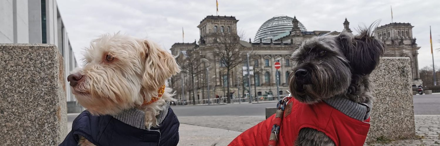 Opal 🇺🇦🏳️‍🌈 banner