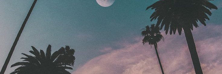 rastacrat's profile banner image