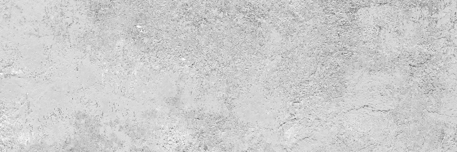 larisyrota's profile banner image