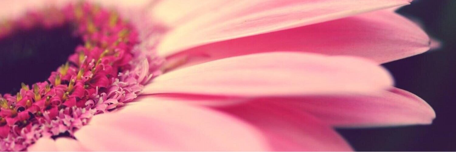 Megan banner