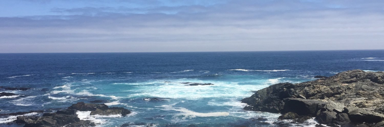 Lucia Armanet banner