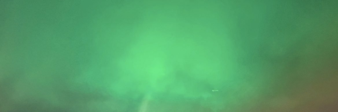 Lisa Buffington banner