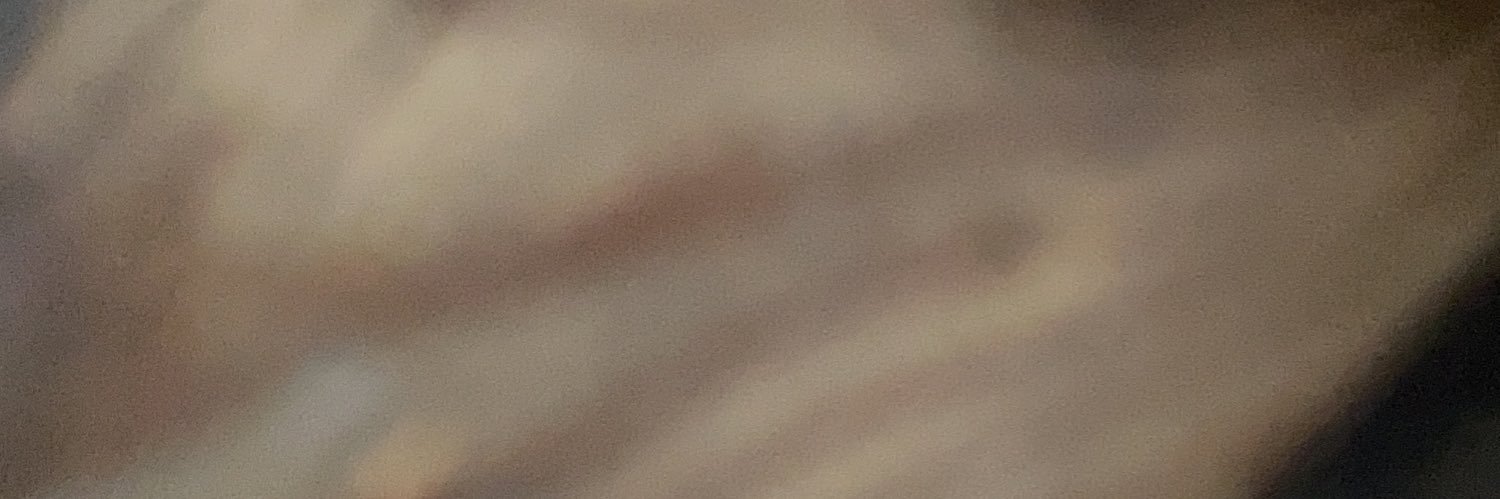 riksprengers's profile banner image