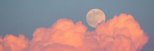vic_thelunatic's profile banner image