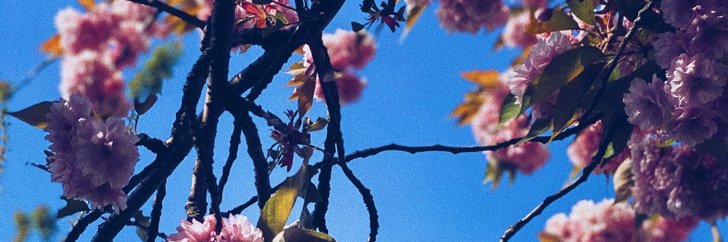 missmegvb's profile banner image
