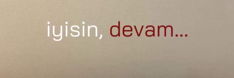 Ayse Ulker Saygan Solmaz banner