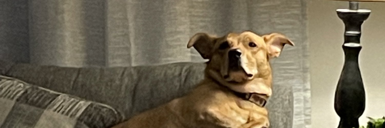 AlmostMike_'s profile banner image