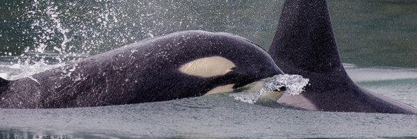 InVeritas_Jones Profile Banner