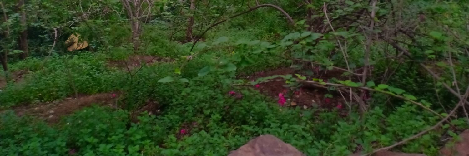 gdarbari's profile banner image