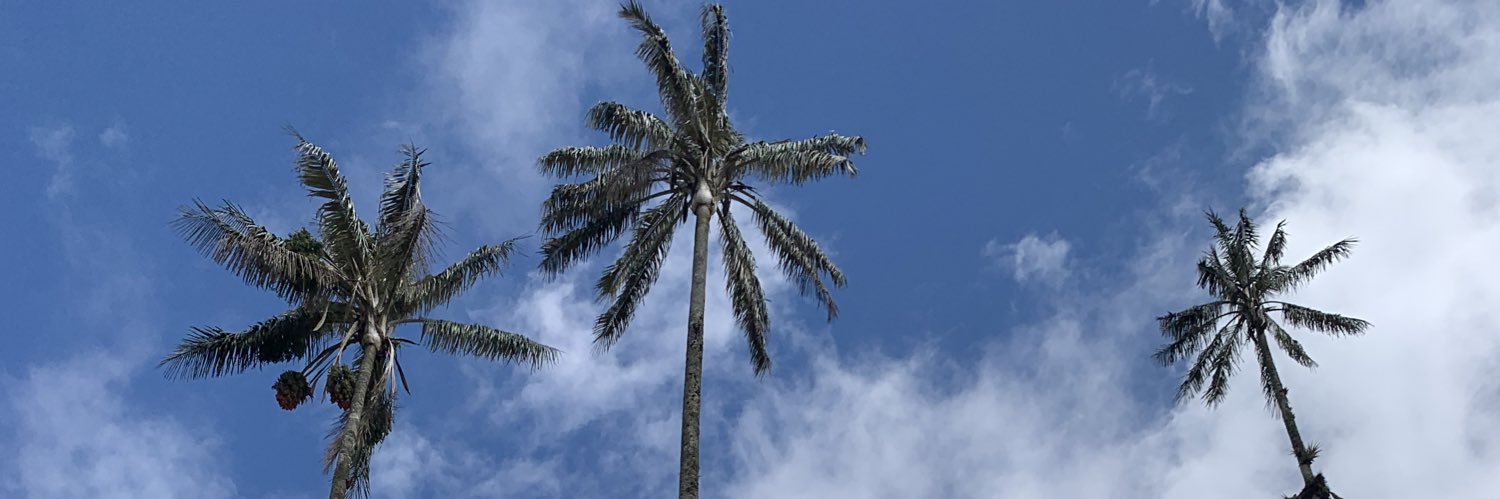 NicolasMartp's profile banner image