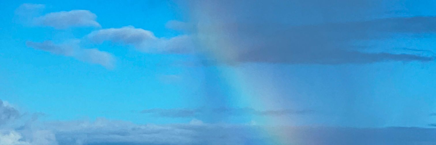 Dacesyztal's profile banner image