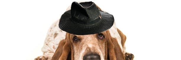 hounXdog's profile banner image