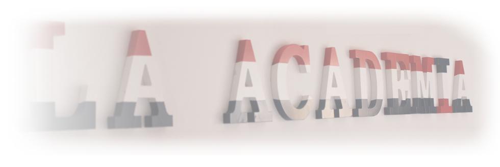 LaAcademiaVi's profile banner image