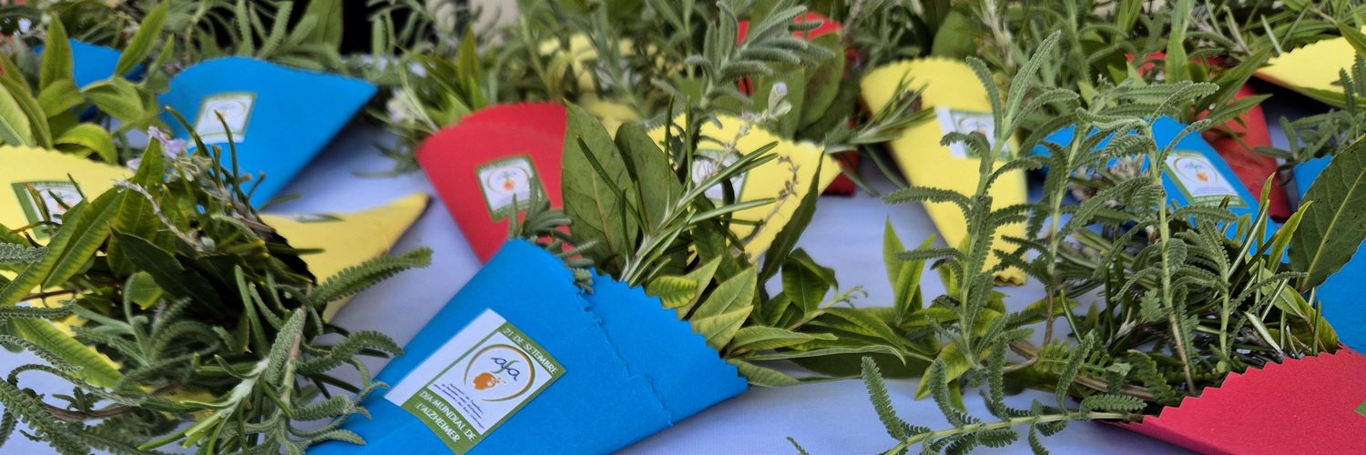 AFA BAIX LLOBREGAT banner