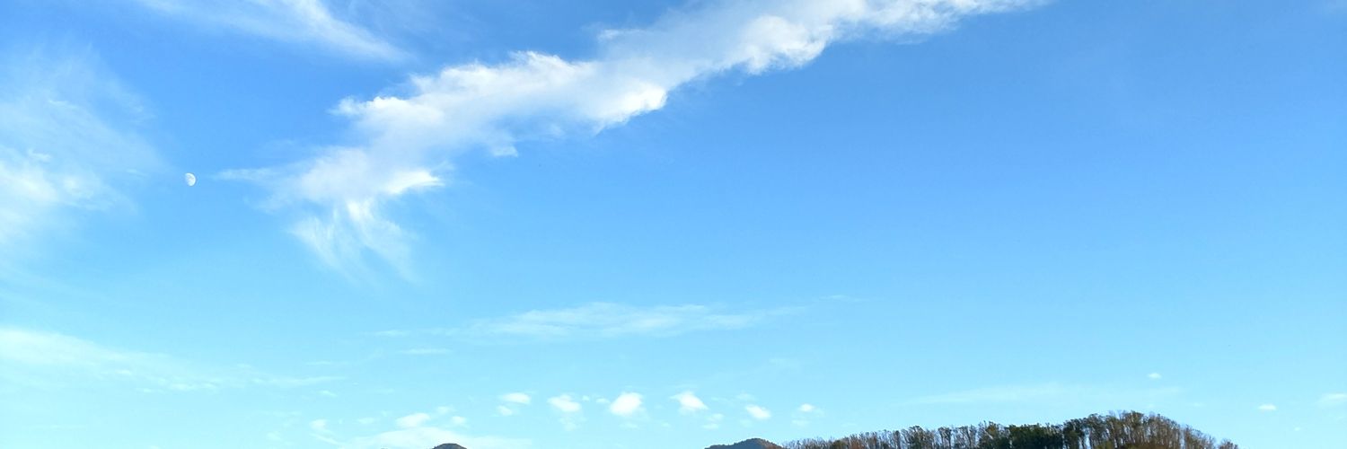 clotree's profile banner image
