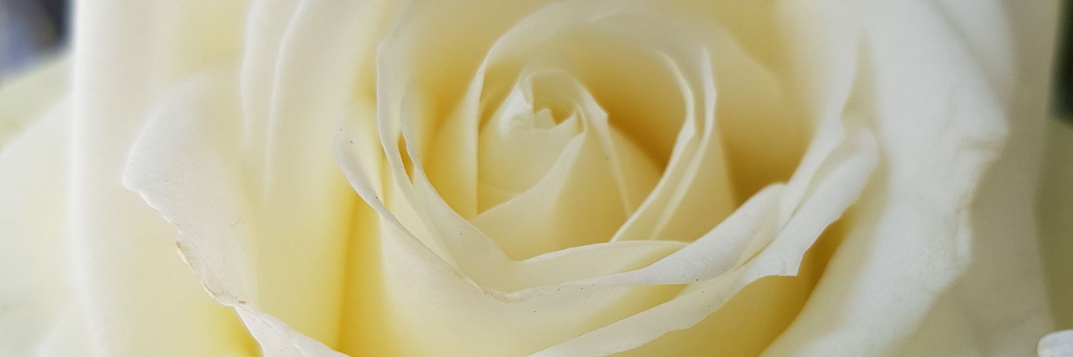 Kate2373's profile banner image