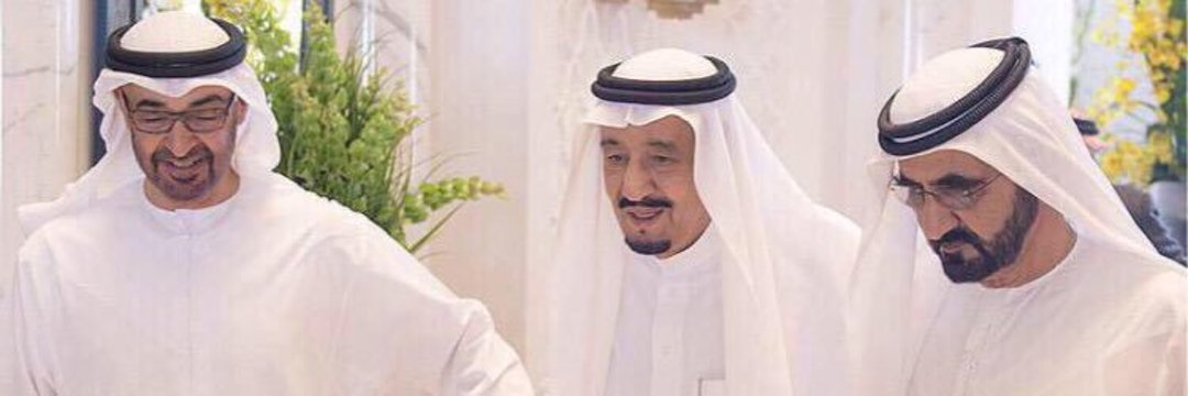 hralshamisi's profile banner image