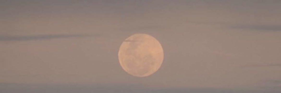 Sam_Maletta25's profile banner image