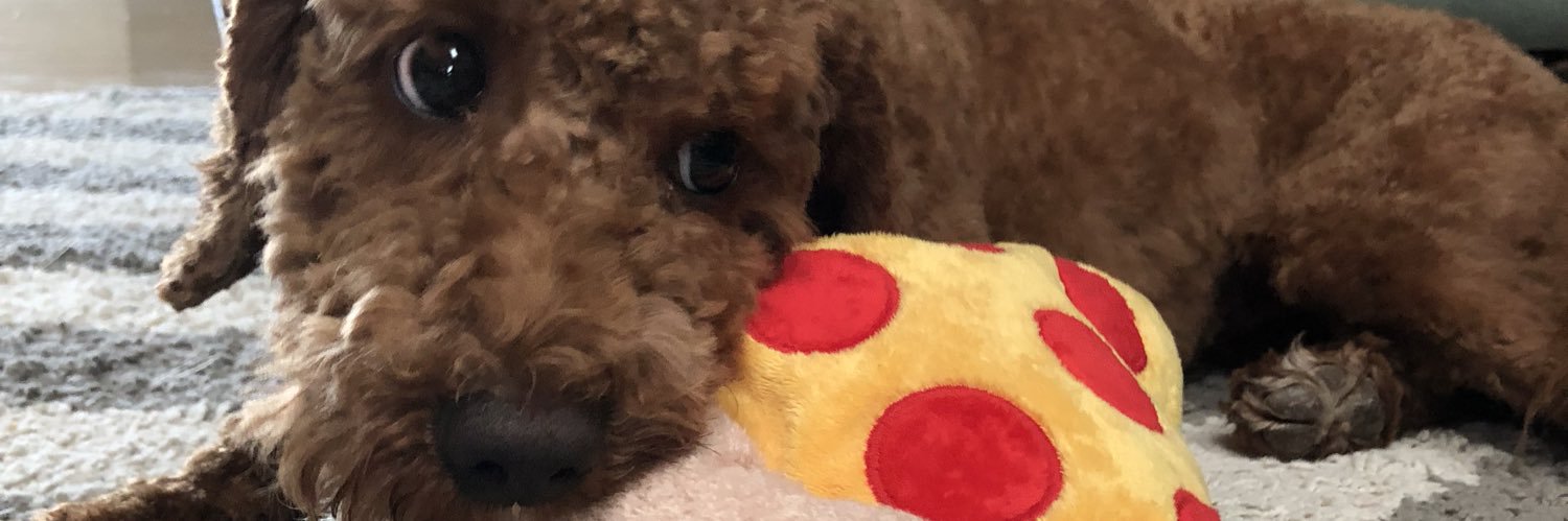 AddysonSophia's profile banner image