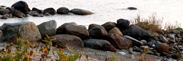 Just me, Hurley banner