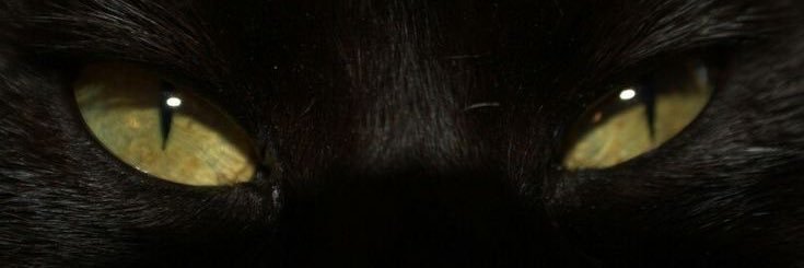 imaripoza's profile banner image
