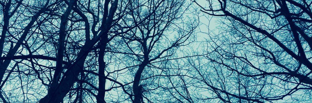 Boo_Roop's profile banner image