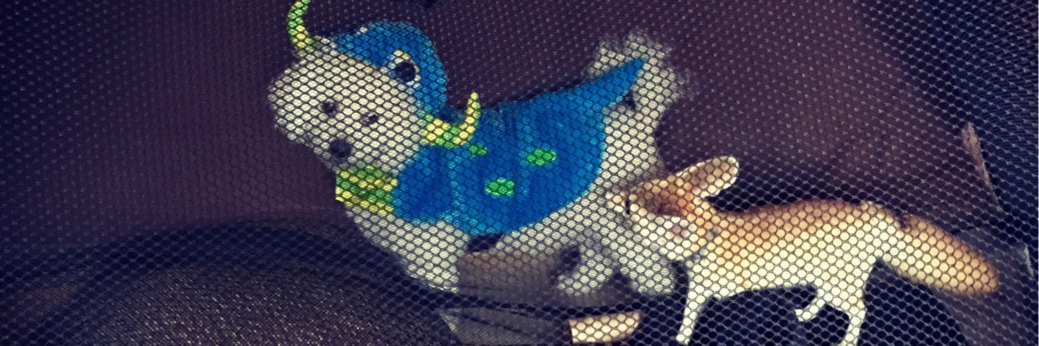 AshleyMCapp's profile banner image