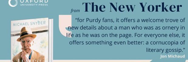 Michael Snyder banner