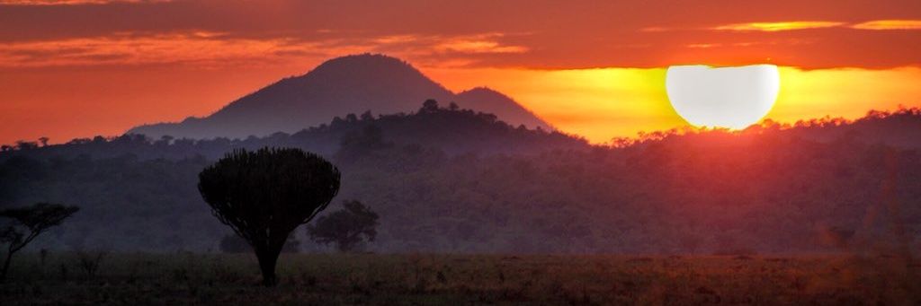 Mujuni786's profile banner image