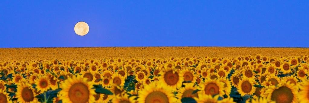 sarah_epj's profile banner image
