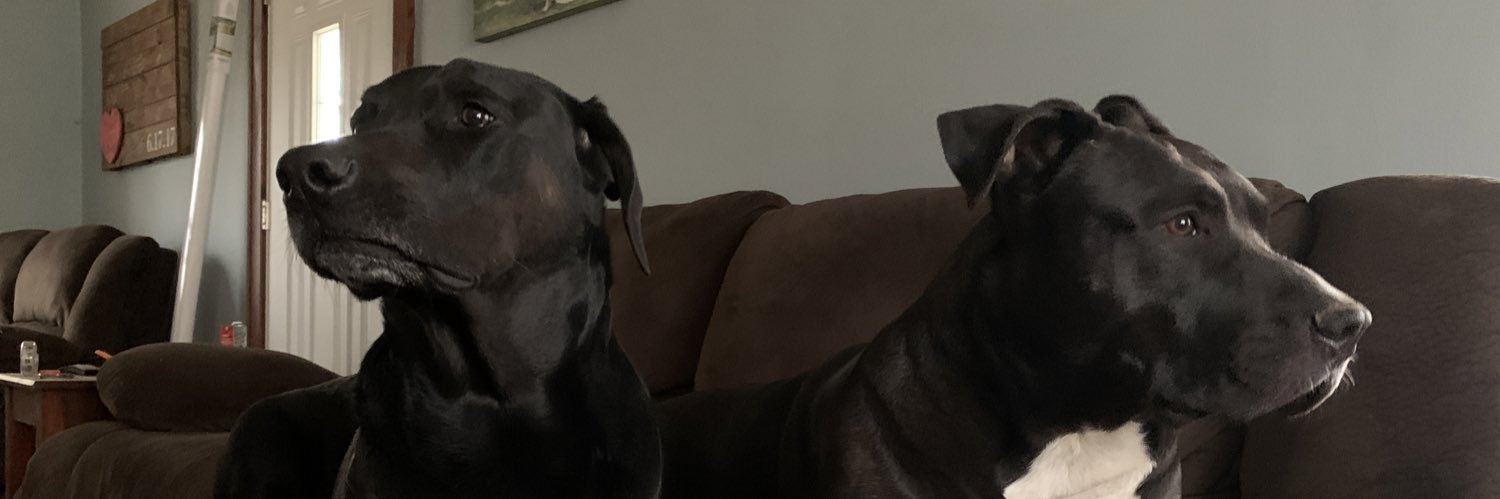 BethReckless's profile banner image