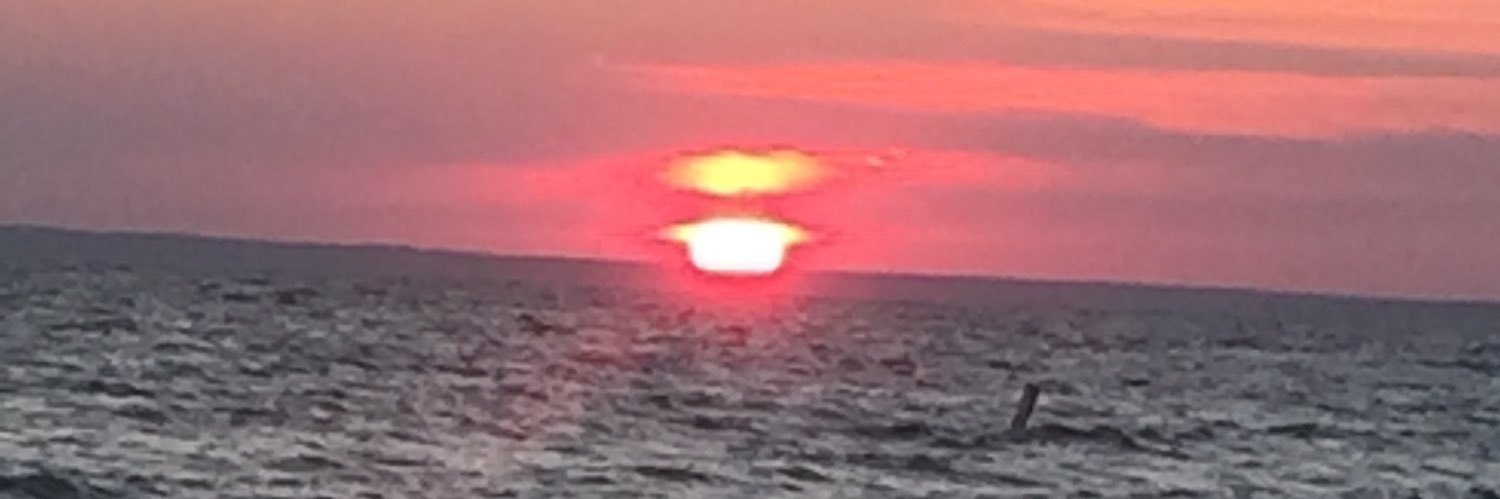 Sharondefilippo's profile banner image