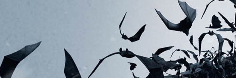 yomixmito's profile banner image