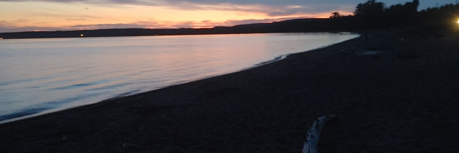 Andrew Staples banner