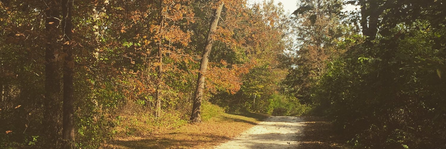 QueenAmyGirl's profile banner image