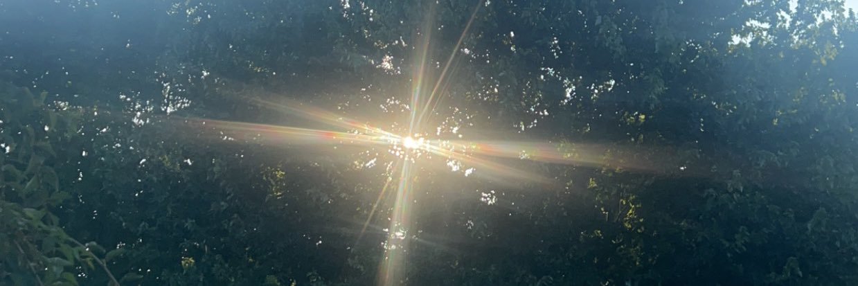 assssssh's profile banner image