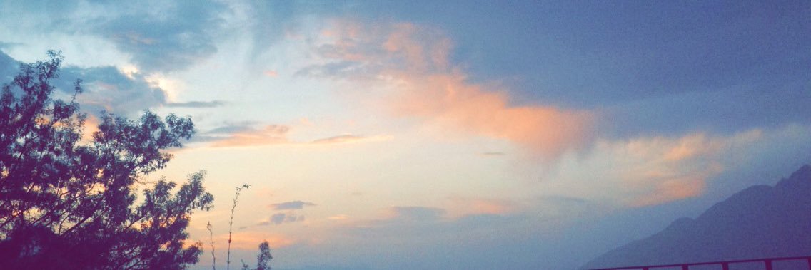 ReginaKaram_'s profile banner image