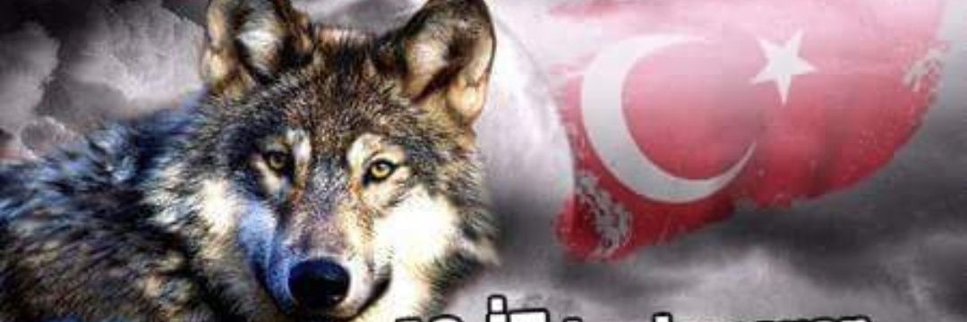 eracankafkas's profile banner image