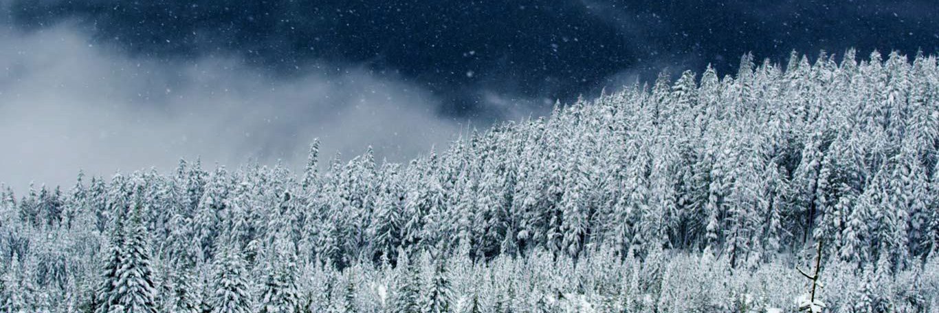 snowcommerce's profile banner image