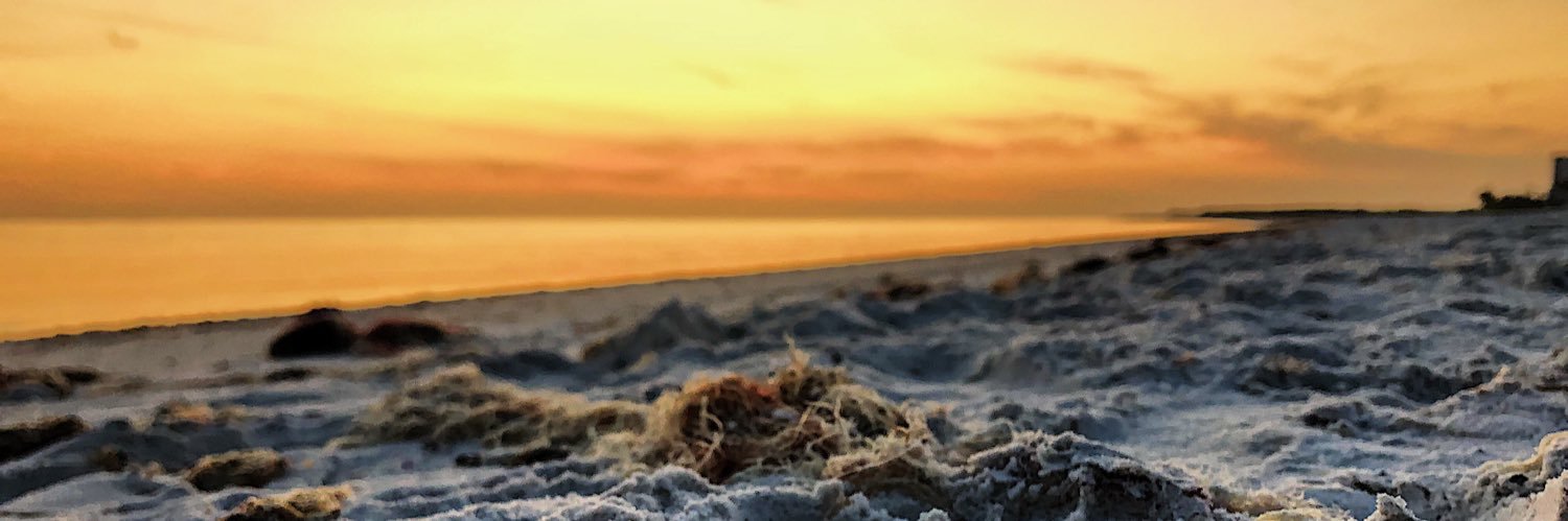 mwhelan989's profile banner image