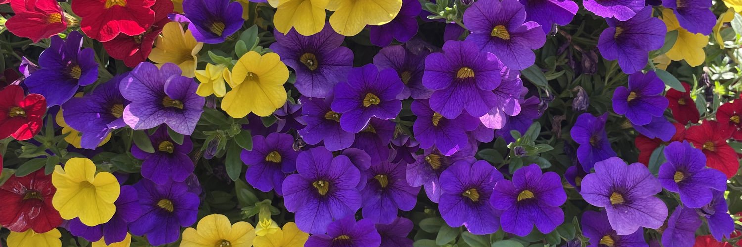 jhralph's profile banner image